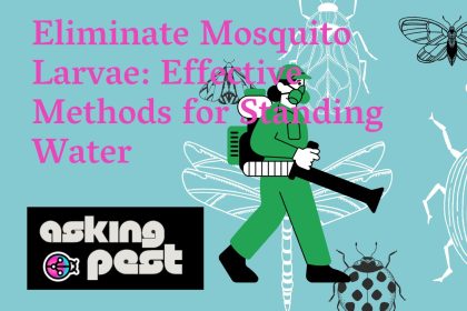 Eliminate Mosquito Larvae: Effective Methods for Standing Water