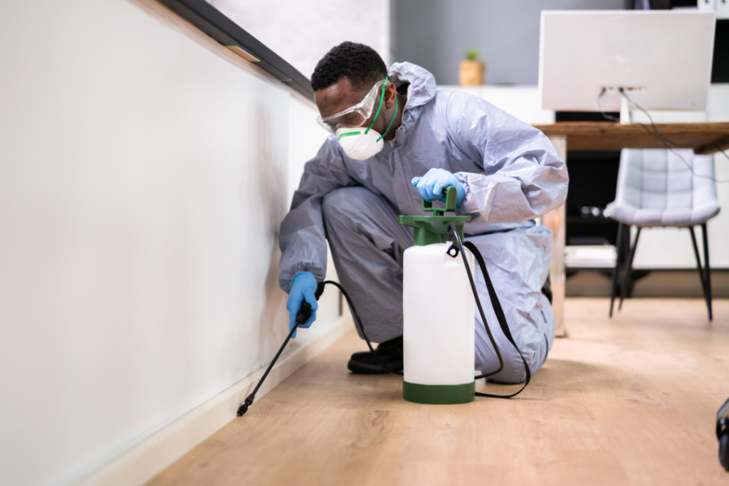 Guide to Fumigating Your Home Safely and Effectively Guide to Fumigating Your Home Safely and Effectively