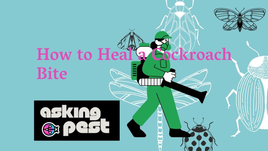 How to Heal a Cockroach Bite: Guide for a Speedy Recovery