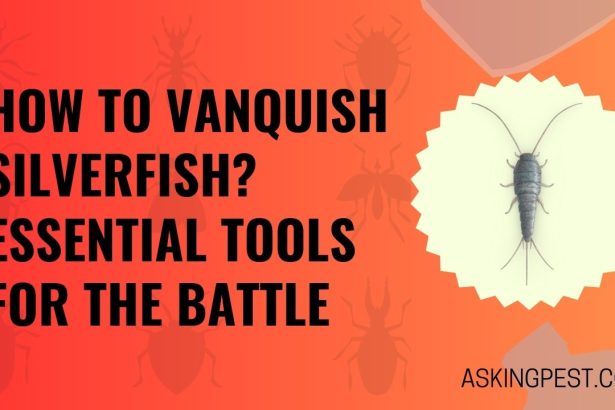 How to Vanquish Silverfish? Essential Tools for the Battle