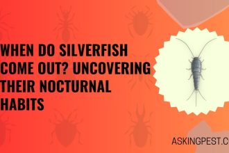 When Do Silverfish Come Out? Uncovering Their Nocturnal Habits