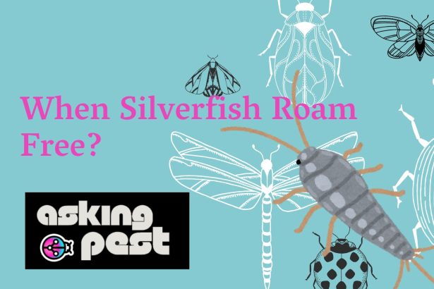 When Silverfish Roam Free?