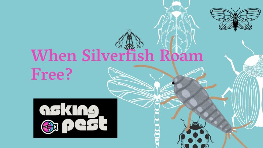 When Silverfish Roam Free?