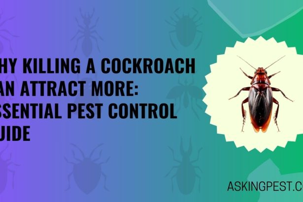 Why Killing a Cockroach Can Attract More? Essential Pest Control Guide