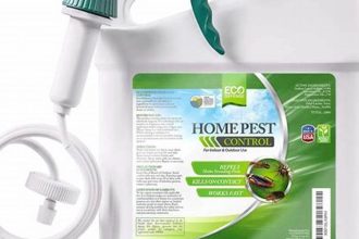 When to Spray for Pest Control, Guide for Homeowners