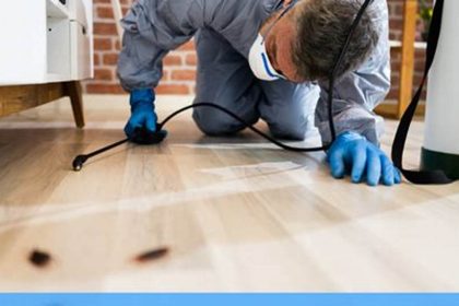 Uncover the Hidden Costs of Pest Control
