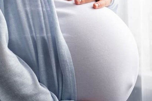 Pest Control During Pregnancy: Safety Tips for a Healthy Home