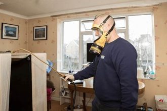 Where Can I Find Reliable Bed Bug Pest Control Services?