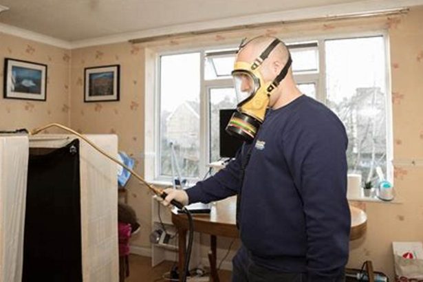 Where Can I Find Reliable Bed Bug Pest Control Services?