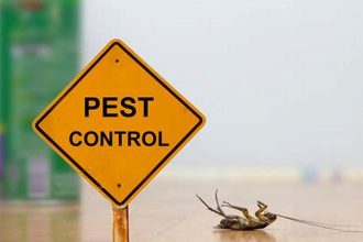 Should You Invest in Pest Control? Here Essential Factors and Expert Tips