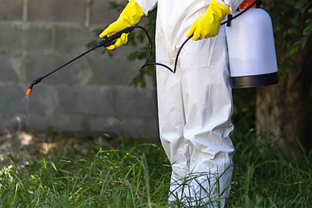 How to Find the Best Pest Control Products Near You