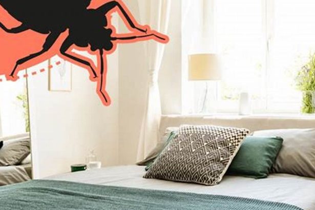 How Bed Bugs Choose Their Rooms: A Comprehensive Guide