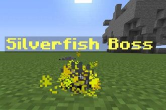Why Silverfish Infested Minecraft?