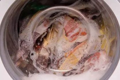 How to Kill Bed Bugs in the Washer: A Comprehensive Guide