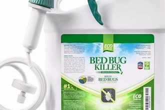 Best Bed Bug Medicine: Choosing the Right Treatment
