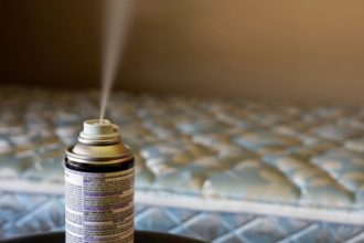 Does Lysol Kill Bed Bugs?