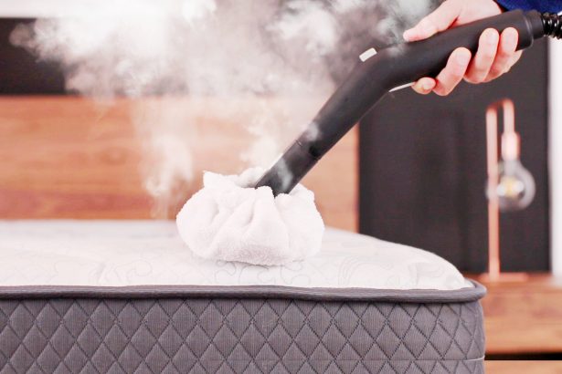 Find the Best Steamers for Bed Bugs