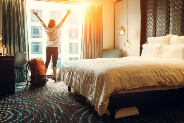 Beware the Bed Bug Nightmare: A Guide for Hotel Guests